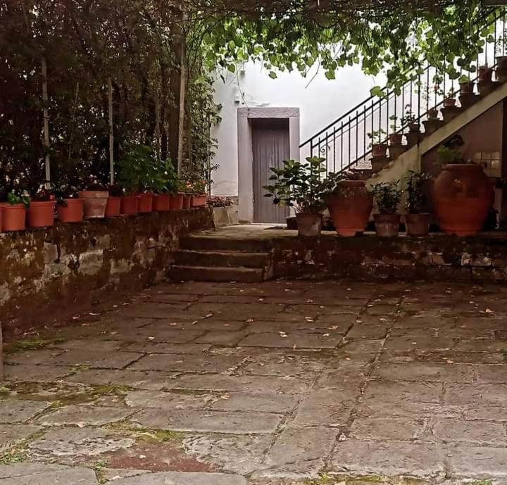 Albergo Del Ponte San Piero in Bagno Exteriör bild